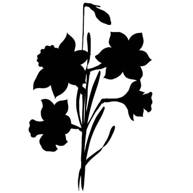 Beyaz arkaplanda izole çiçekler