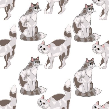 kediler beyaz arkaplanda izole