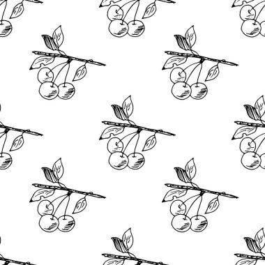 Beyaz arka planda izole edilmiş böğürtlenli kusursuz desen