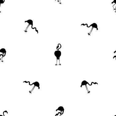 Flamingolar beyaz arkaplanda izole edilmiş