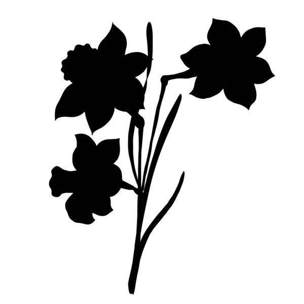 Flores Aisladas Sobre Fondo Blanco — Vector de stock