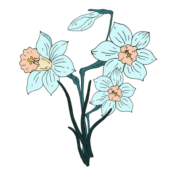 Λουλούδια Που Απομονώνονται Λευκό Φόντο — Διανυσματικό Αρχείο