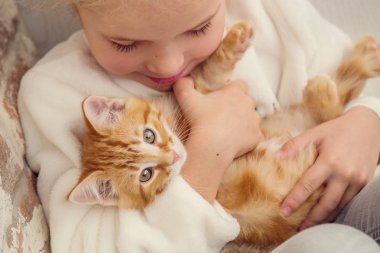 bir yavru kedi üzerinde zencefil bir ele sahip sevimli küçük kız 