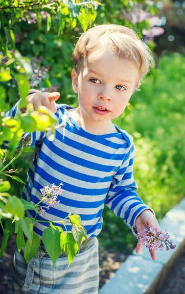 Mutlu yürümeye başlayan çocuk çiçek kendiniyoluyor 