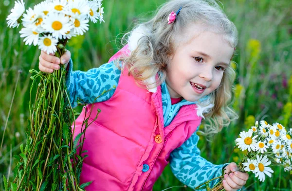 Child picking wild daisy flowers in field — Stock Photo, Image