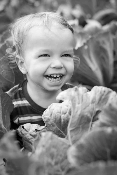 Portrait d'un garçon heureux tout-petit — Photo