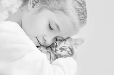 bir yavru kedi üzerinde zencefil bir ele sahip sevimli küçük kız
