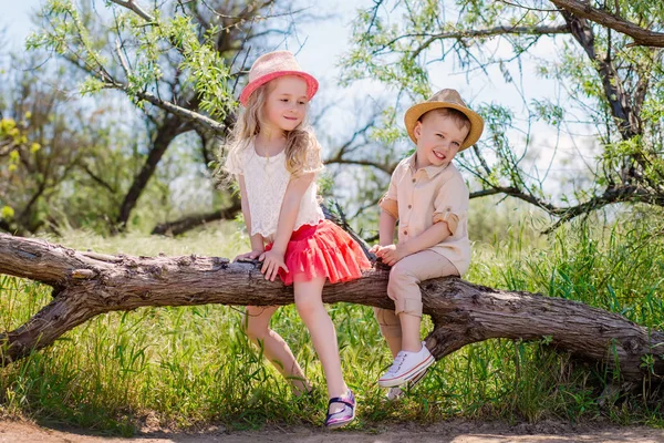 Twee kleine broer en zus zitten in een boom — Stockfoto