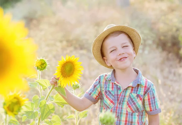 Счастливый маленький мальчик на поле подсолнухов — стоковое фото