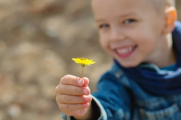 Gele paardebloem bloem in de hand van een gelukkig jongetje — Stockfoto
