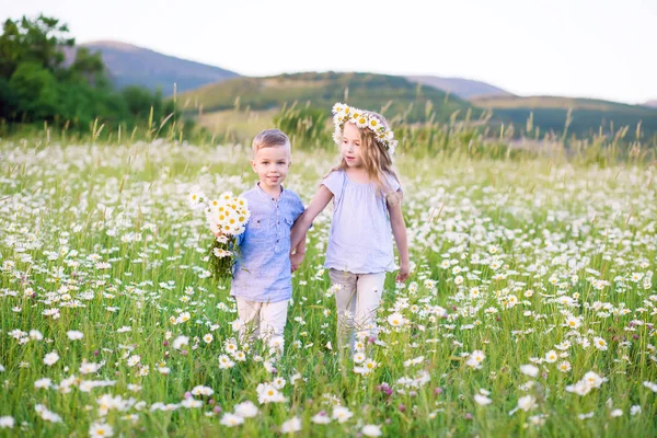 Vakker liten jente som klemmer en liten gutt på en eng kammomi – stockfoto