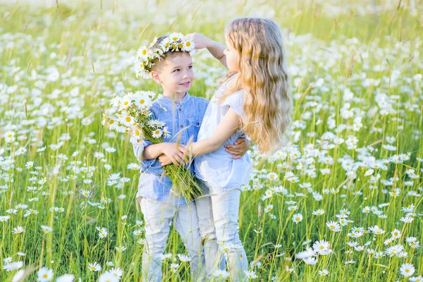 Schöne kleine Mädchen umarmt einen kleinen Jungen in einem Feld von Chamomi — Stockfoto