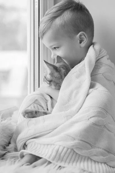 Pequeño niño con lindo gato en casa — Foto de Stock