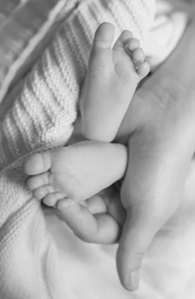 Liten nyfödd bebis fötter på kvinnliga format händer närbild — Stockfoto