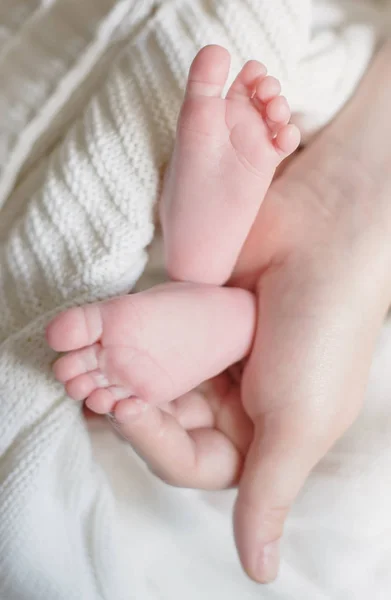 Pequeños pies del bebé recién nacido en manos femeninas en forma de primer plano —  Fotos de Stock