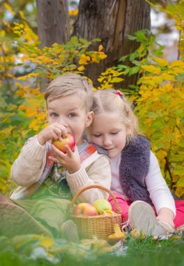 Bir piknik bir sonbahar Park iki mutlu çocuk