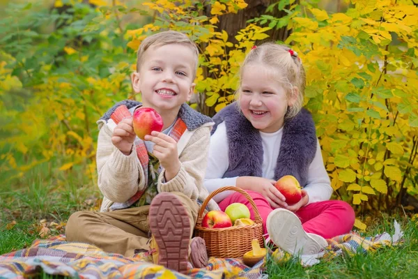 Два счастливых ребенка в осеннем парке на пикнике — стоковое фото
