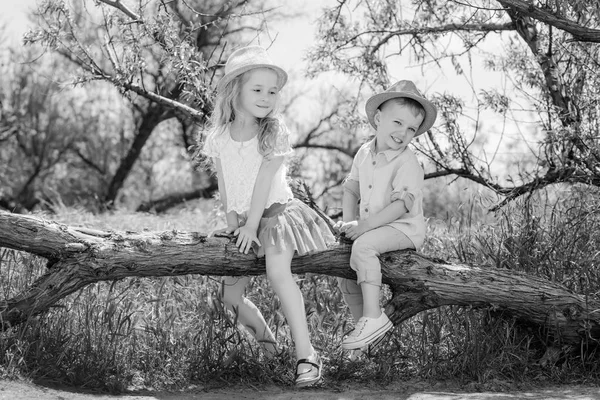 Deux petits frères et sœurs assis dans un arbre — Photo