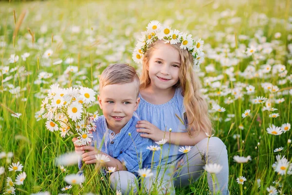 Hermosa niña abrazando a un niño pequeño en un campo de chamomi —  Fotos de Stock