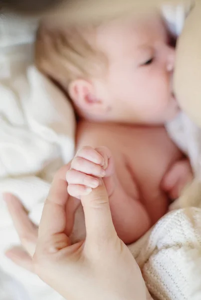 El recién nacido sostiene la mano de mamá mientras amamanta. —  Fotos de Stock