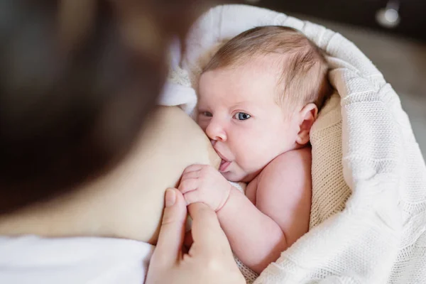 Yakın çekim portre tatlı yeni doğan bebek emzirme. — Stok fotoğraf