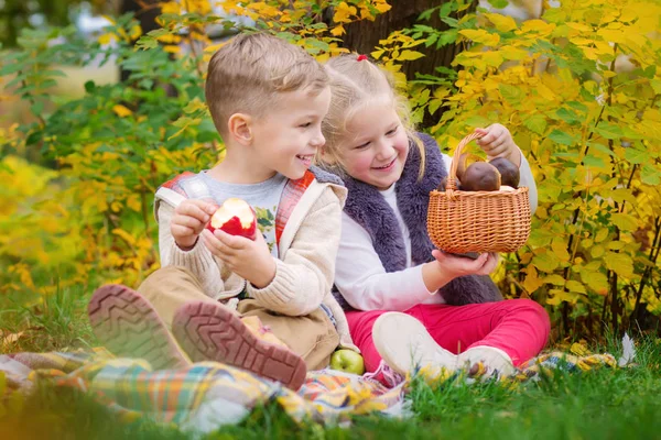 Zwei Glückliche Kinder Einem Herbstlichen Park Bei Einem Picknick Äpfel — Stockfoto
