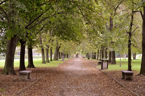 Path of park with benches — Stock Photo, Image
