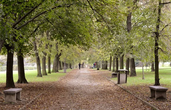 Path of park with benches — Stock Photo, Image