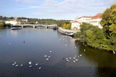 Nehri Prag ve Binalar