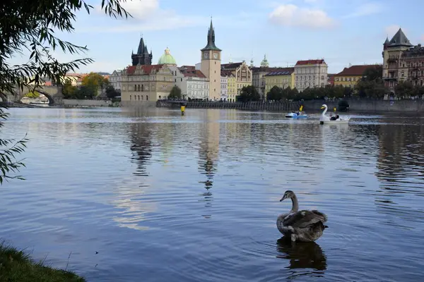 Rivier in Praag en gebouwen — Stockfoto