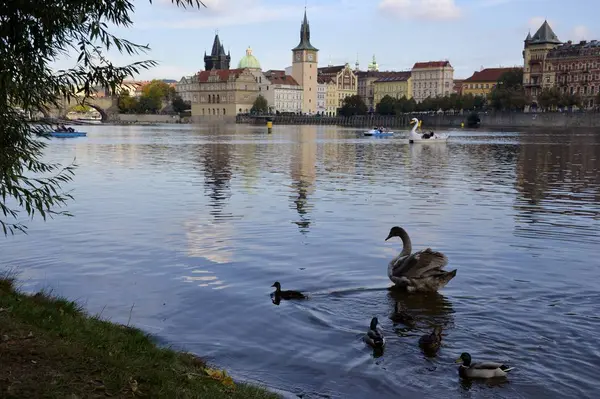 Řeka v Praze a budov — Stock fotografie