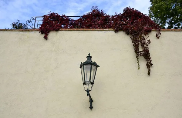 Prag'da sonbahar gelen Mimarlık 