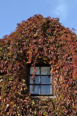 Kapalı ev cephe detay 