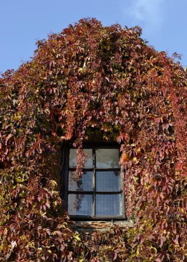 Kapalı ev cephe detay 