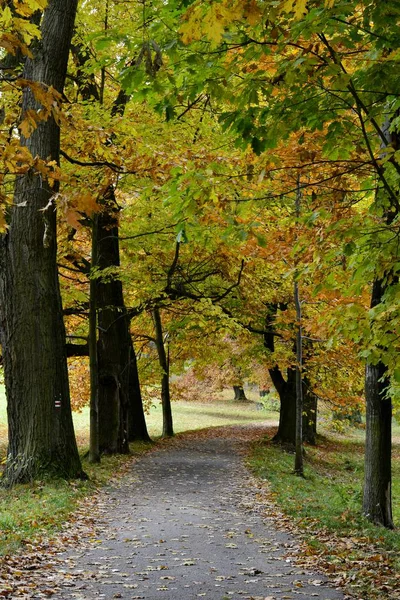 Details from park in autumn — Stock Photo, Image