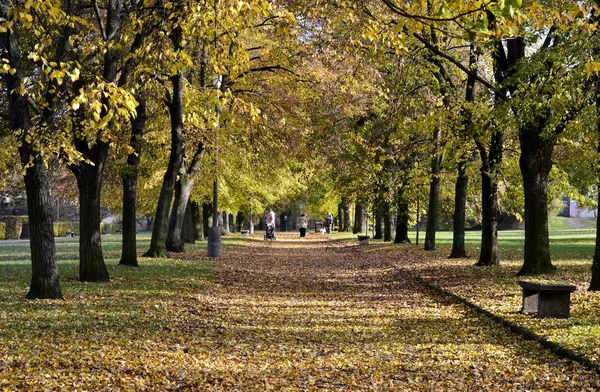 Details from park in autumn — Stock Photo, Image