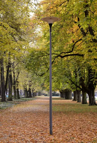 Details from park in autumn — Stock Photo, Image