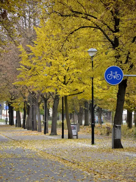 Details from park in autumn — Stock Photo, Image