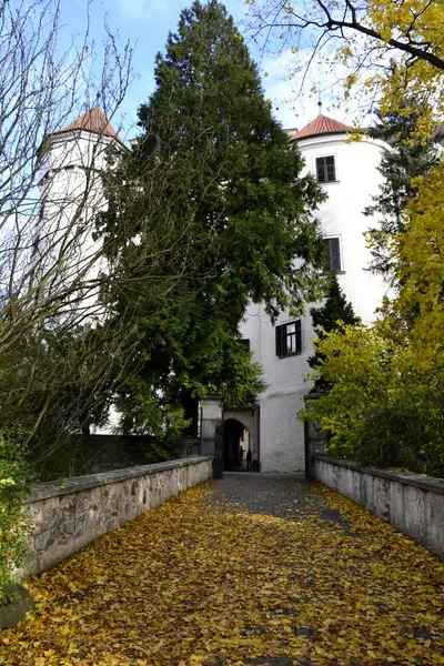 Architektur von der Burg Konopiste — Stockfoto