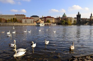 Prag gelen Mimarlık 