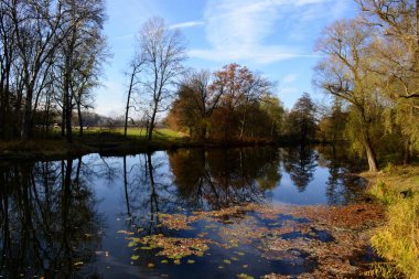 Nehir su yansımaları ile