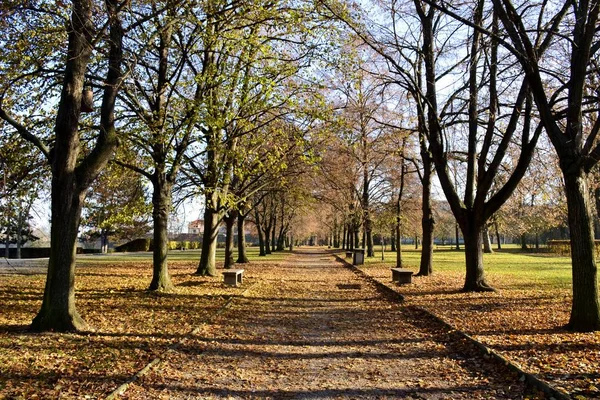 Details from park in autumn — Stock Photo, Image