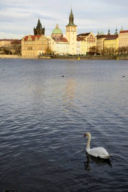 Prag gelen Mimarlık