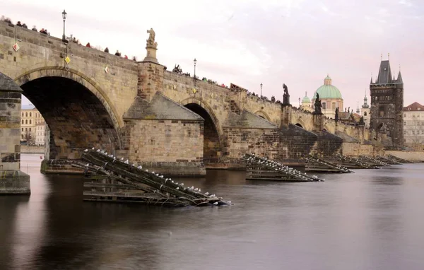Arquitetura da ponte Charles em Praga — Fotografia de Stock