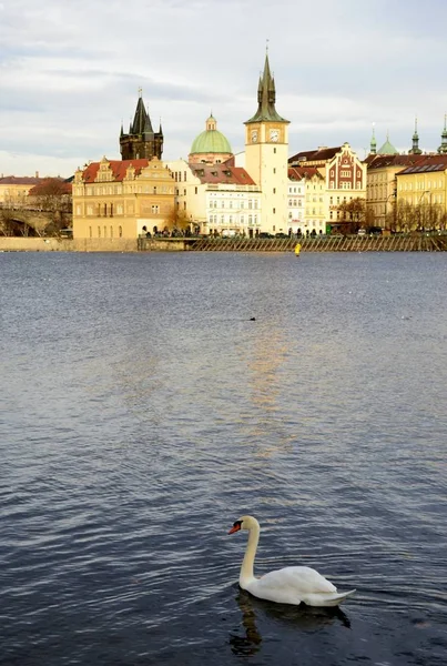 Arquitetura de Praga — Fotografia de Stock