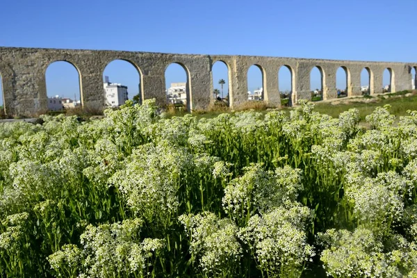 古い水道橋のアーキテクチャ — ストック写真