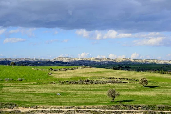 Landskap under våren med mulen himmel — Stockfoto