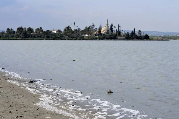 Architecture of Hala Sultan Tekke with cloudy sky — Stock Photo, Image