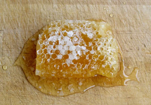 Piece of a wild organic honeycomb Stock Image