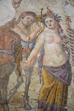 Pafos eski Roma kattan ayrıntılarını